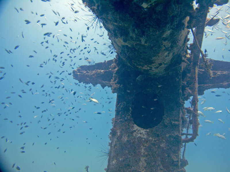 Natural Light, Wreck